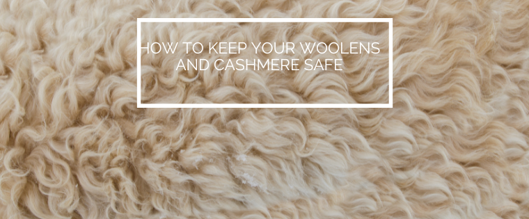 How to keep your woolens and cashmere safe