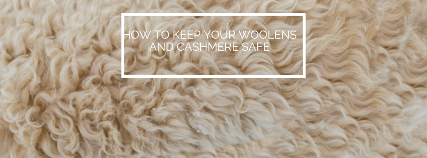 How to keep your woolens and cashmere safe