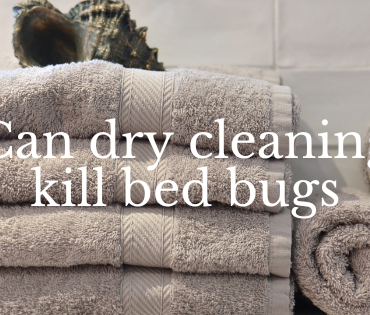 Can dry cleaning kill bed bugs