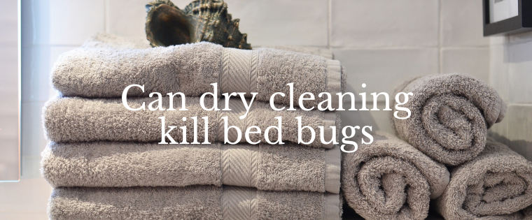 Can dry cleaning kill bed bugs