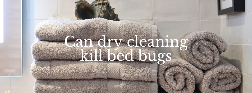 Can Dry Cleaning Kill Bed Bugs? A Comprehensive Analysis