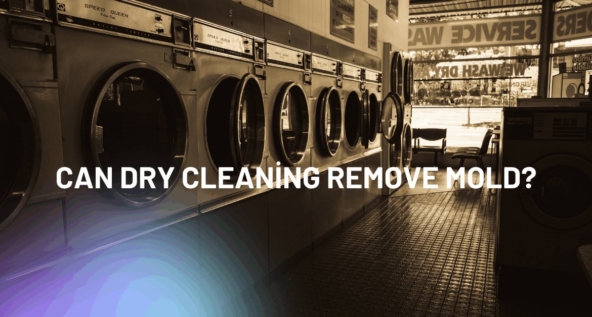Can Dry Cleaning Remove Mold ?