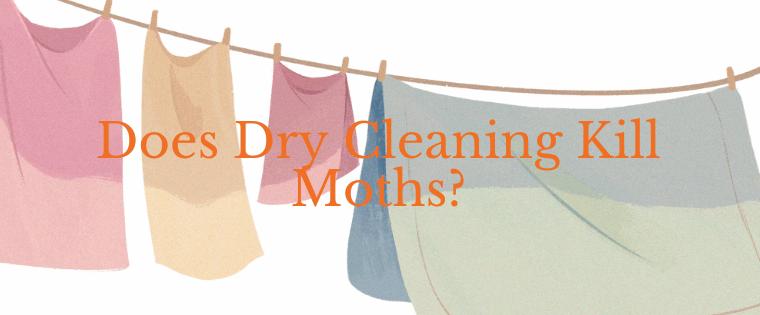 Does dry cleaning kill moths